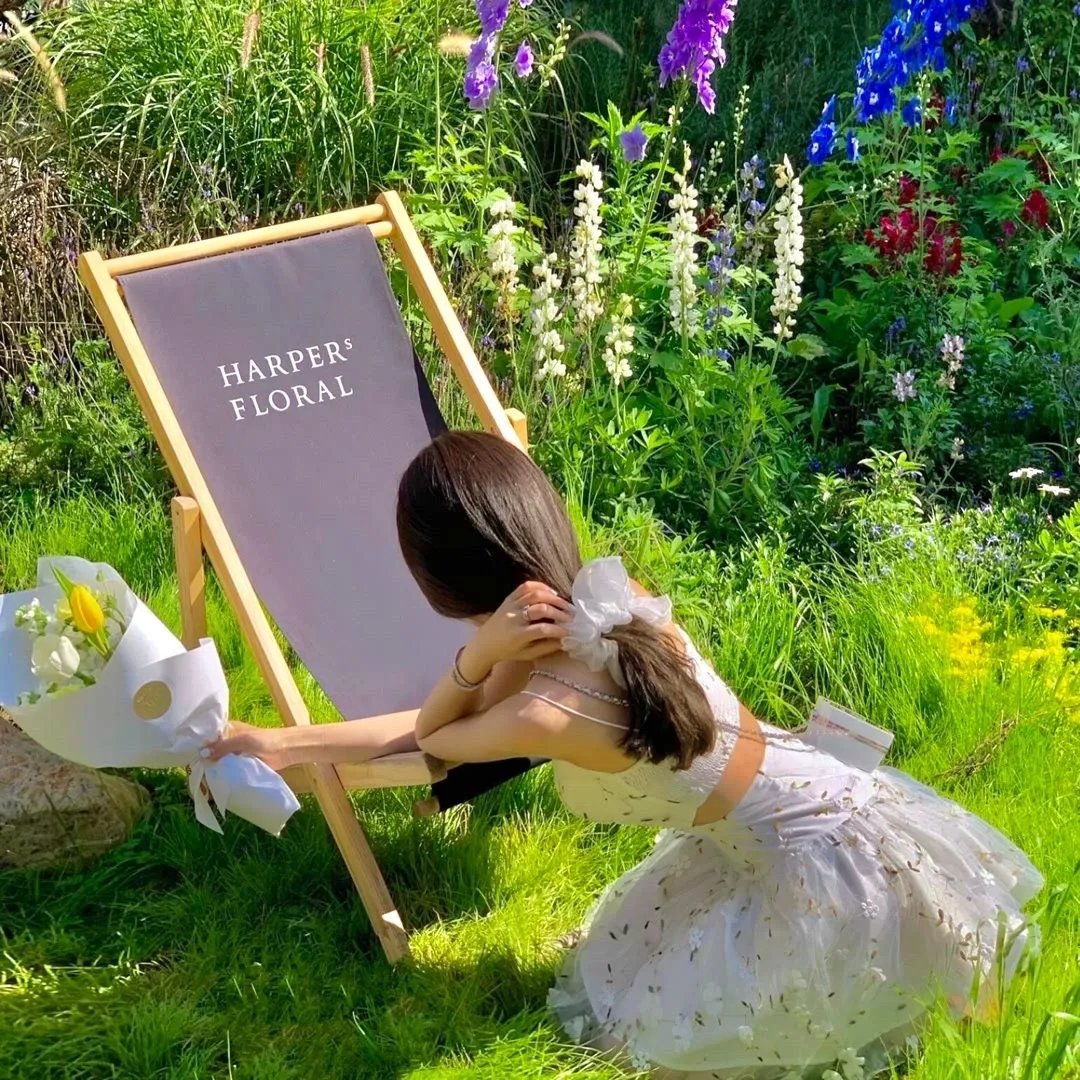 聪明的一休之反斗公主